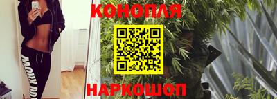 спайс Нальчик