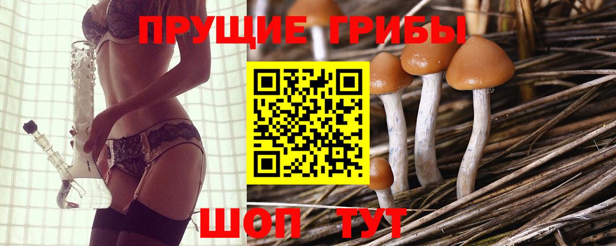 Псилоцибиновые грибы мицелий Фурманов